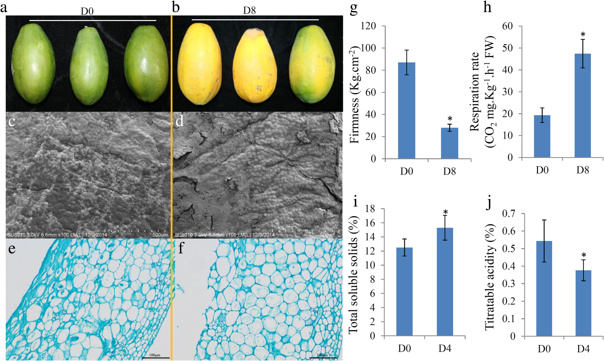 Full article: Selection of optimal ripening stage of papaya fruit (Carica  papaya L.) and vacuum frying conditions for chips making