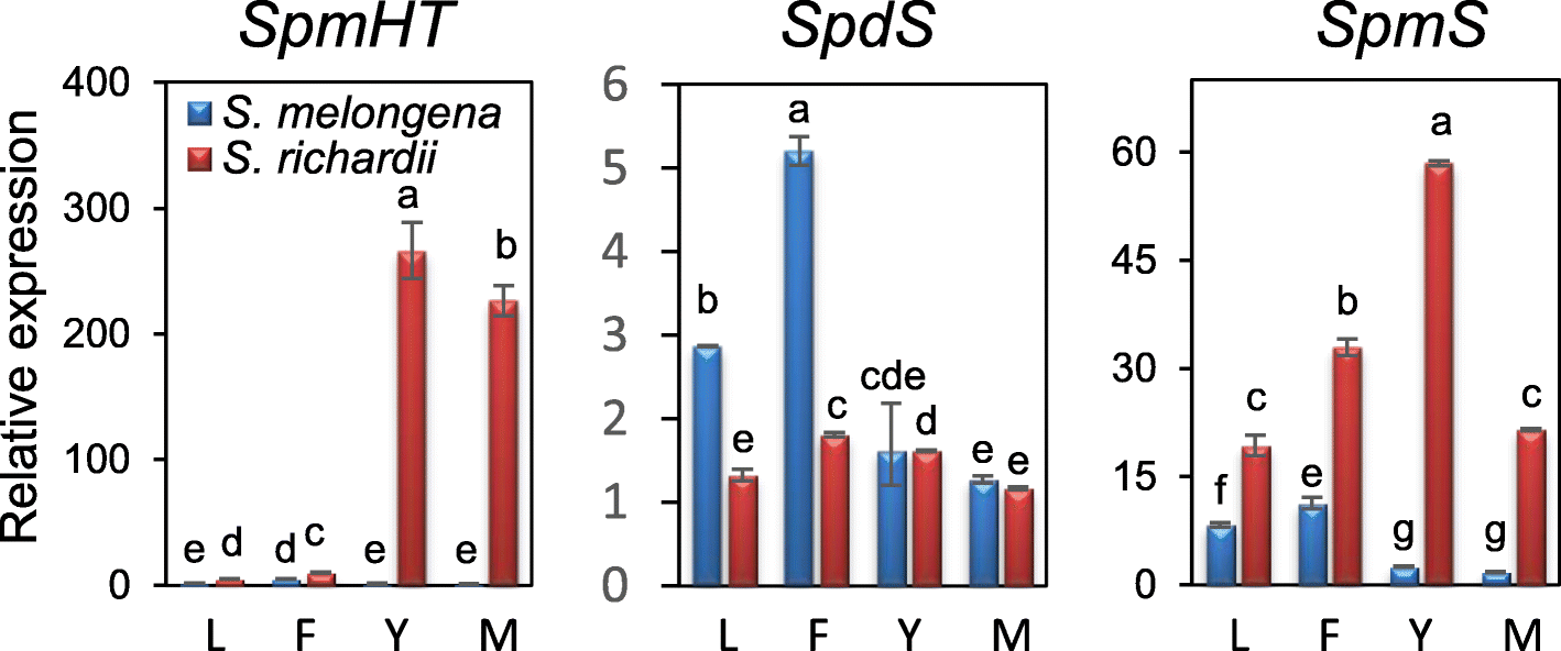 Fig. 5