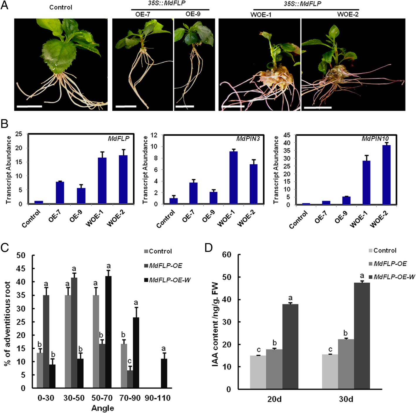 Fig. 7