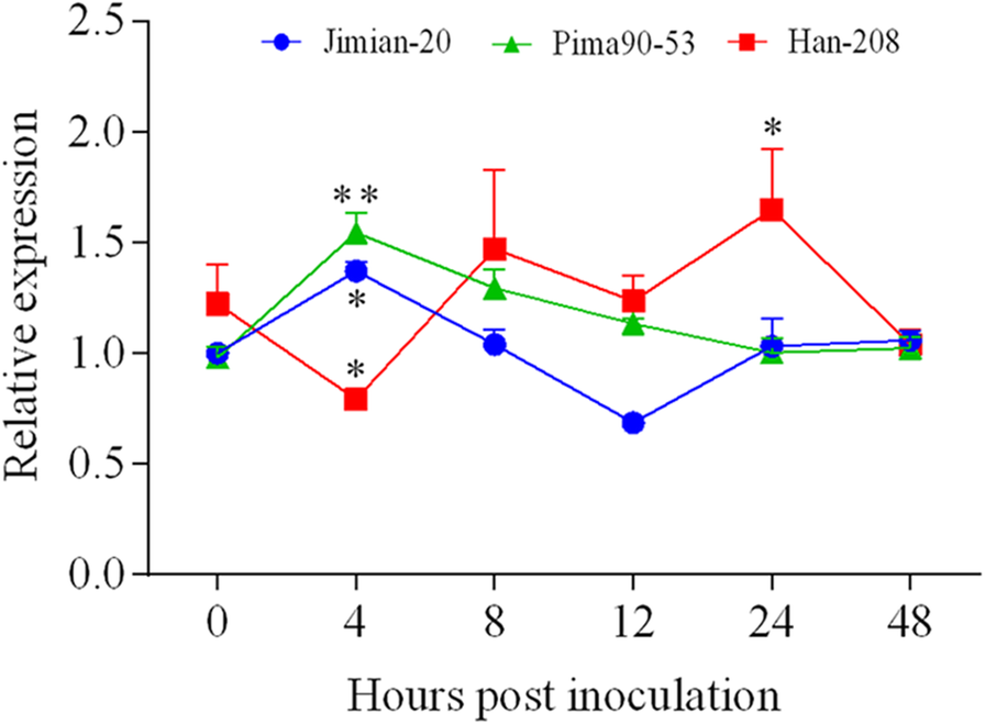 Fig. 7