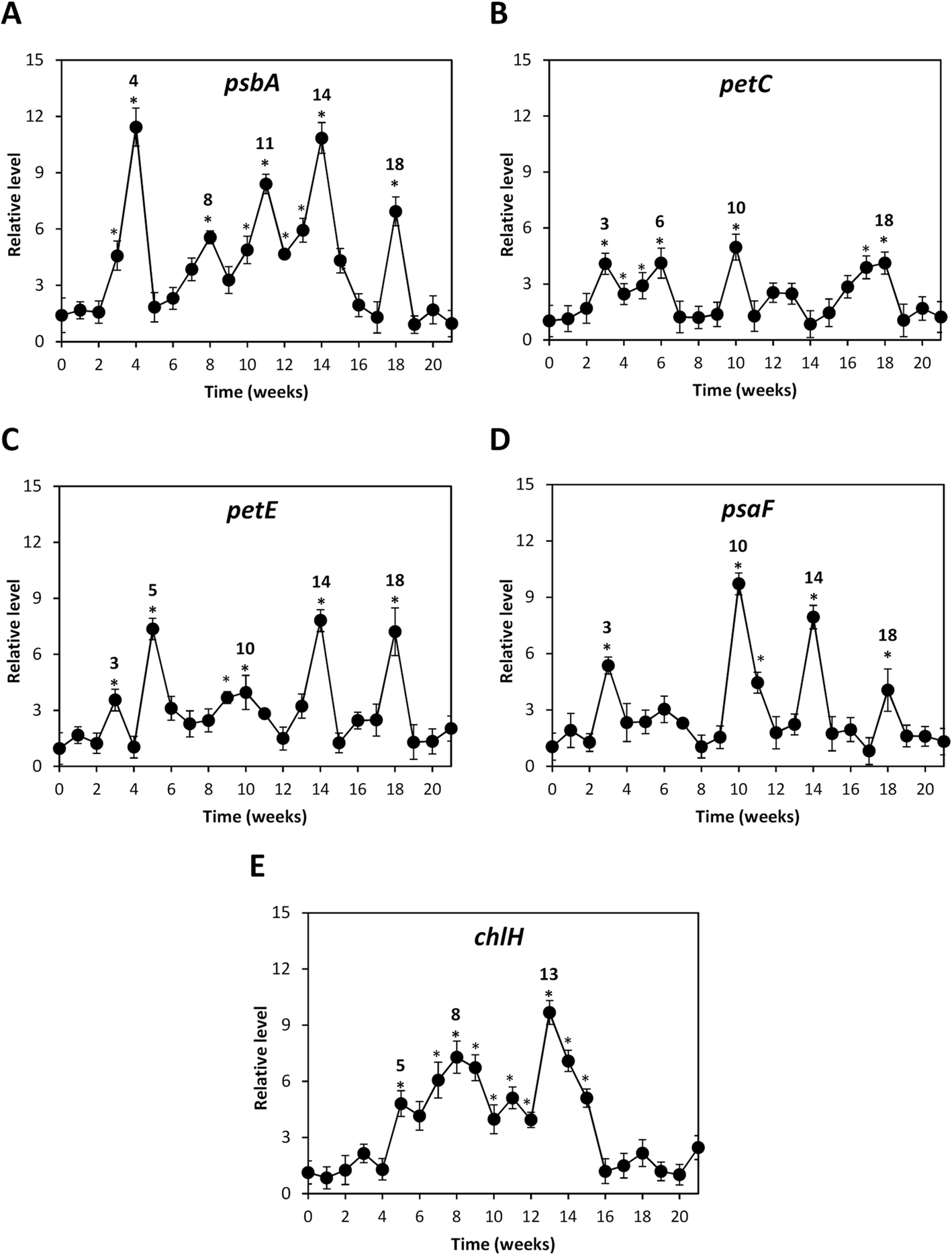 Fig. 4