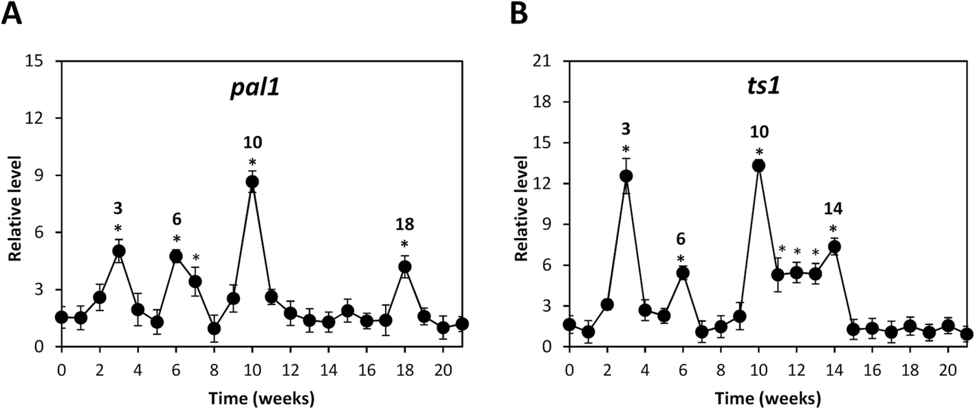 Fig. 6