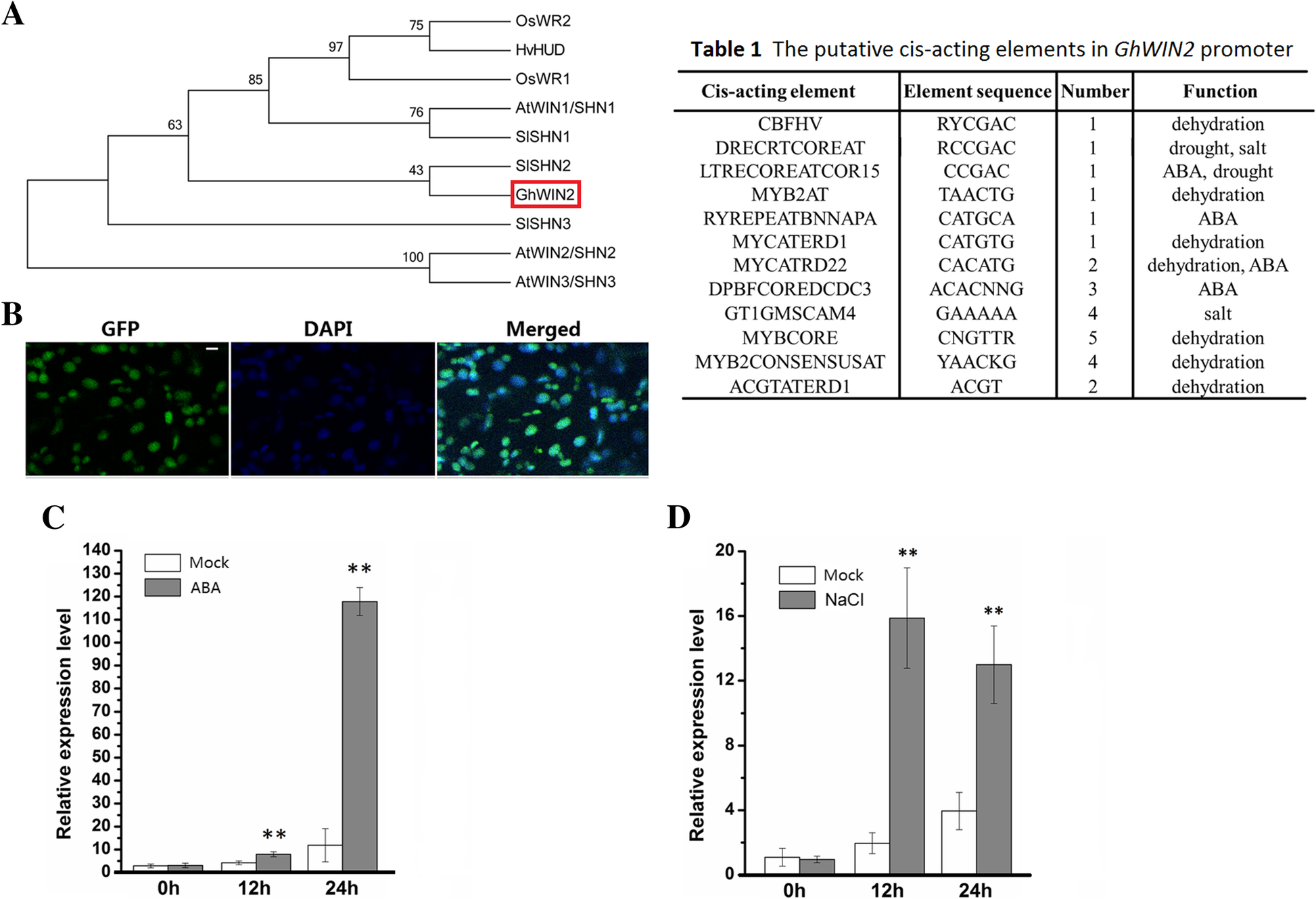 Fig. 1