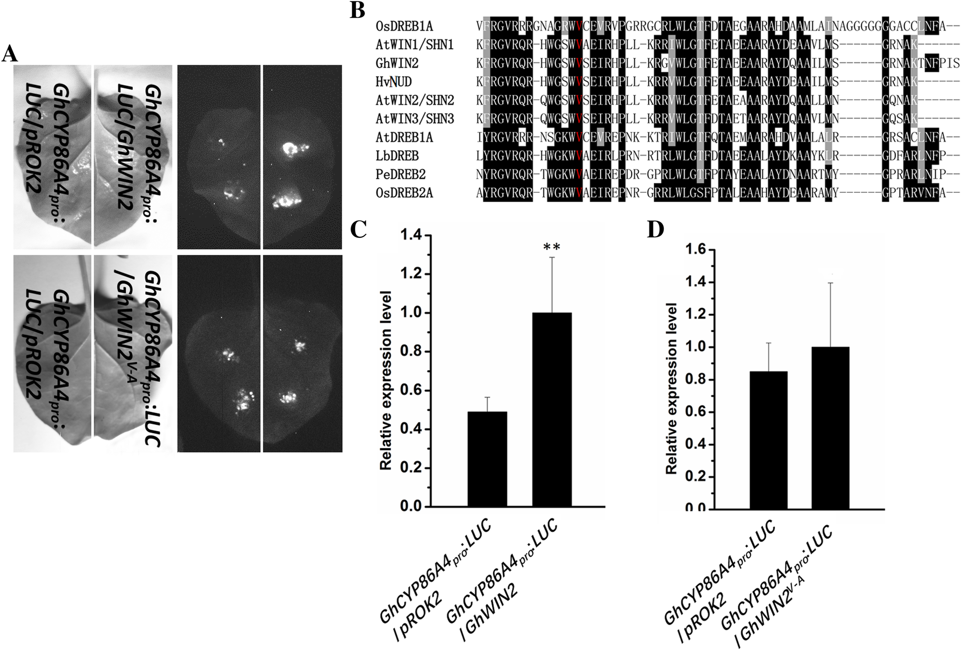 Fig. 3