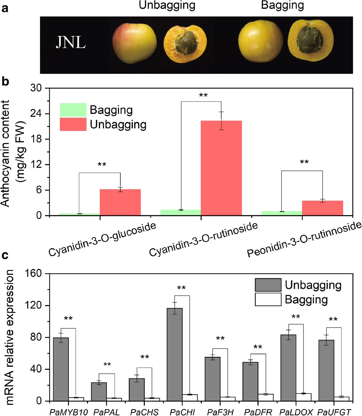 Fig. 8