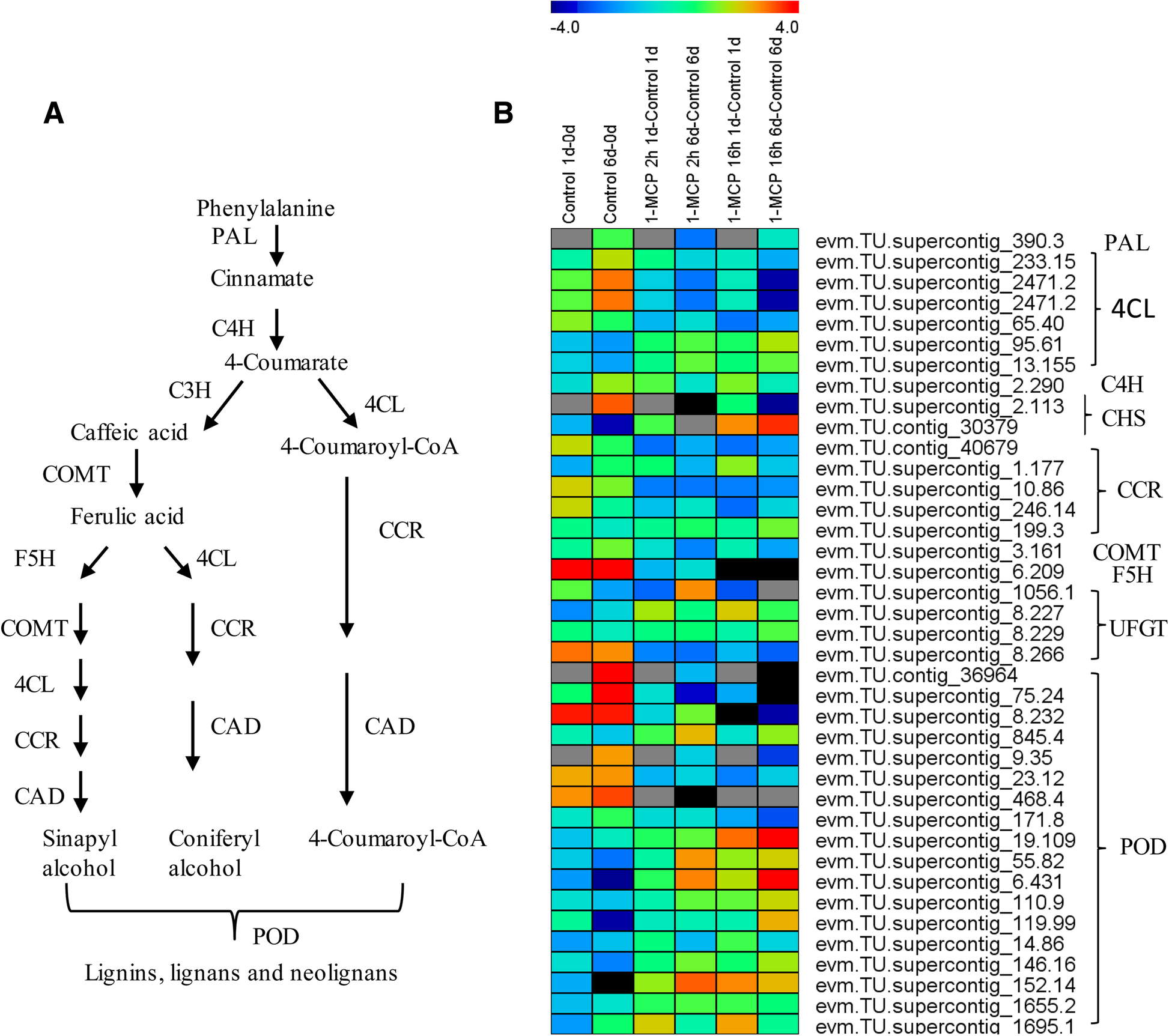 Fig. 6