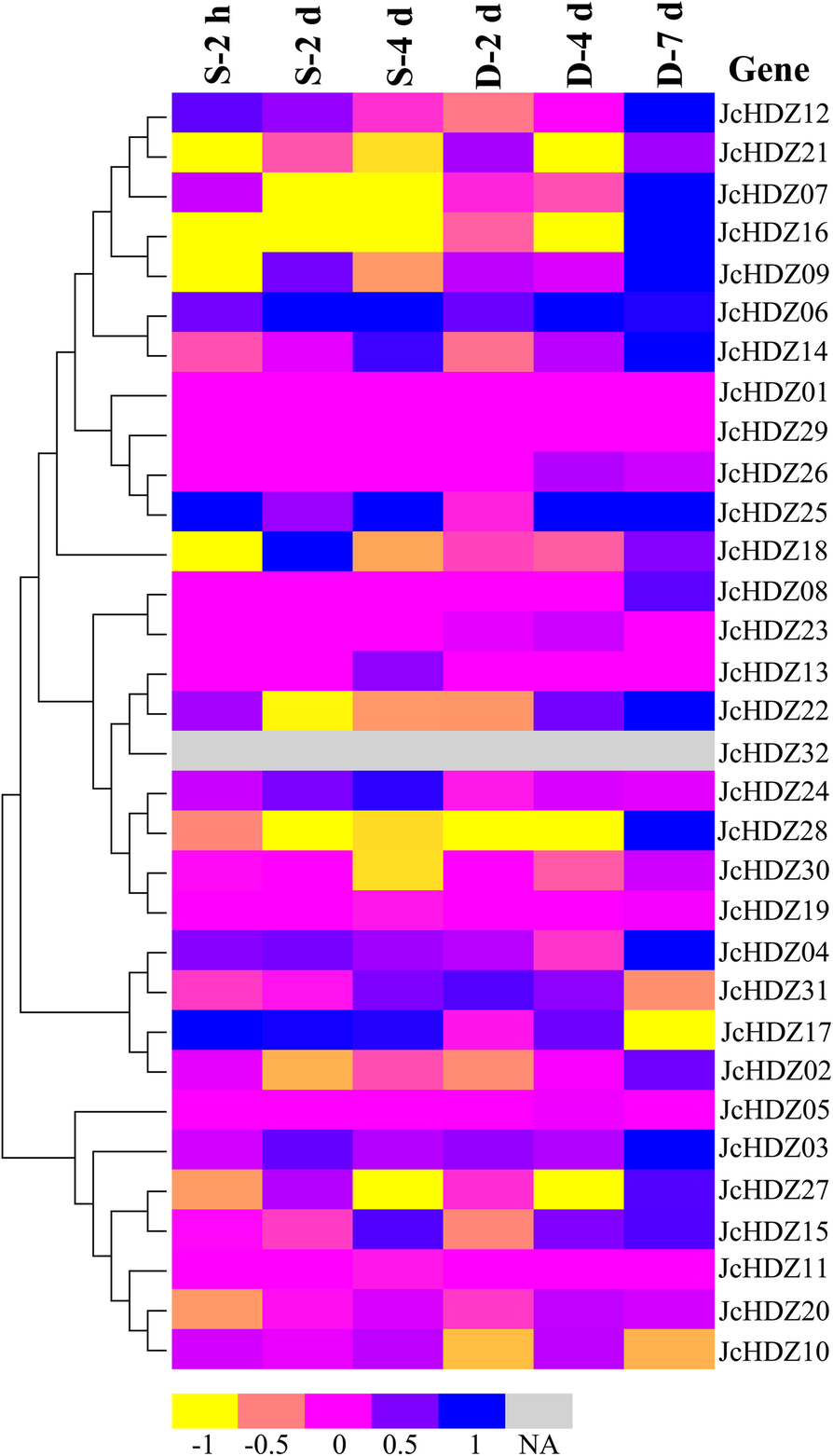 Fig. 6