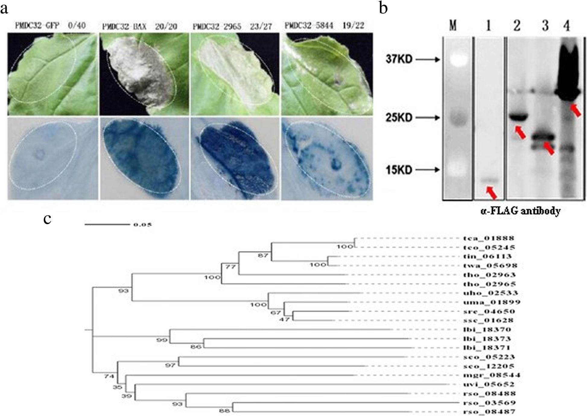 Fig. 3