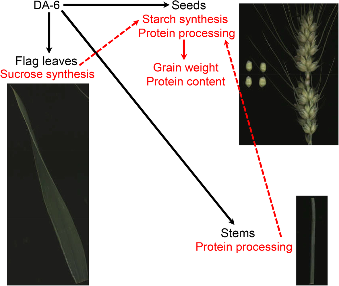 Fig. 6