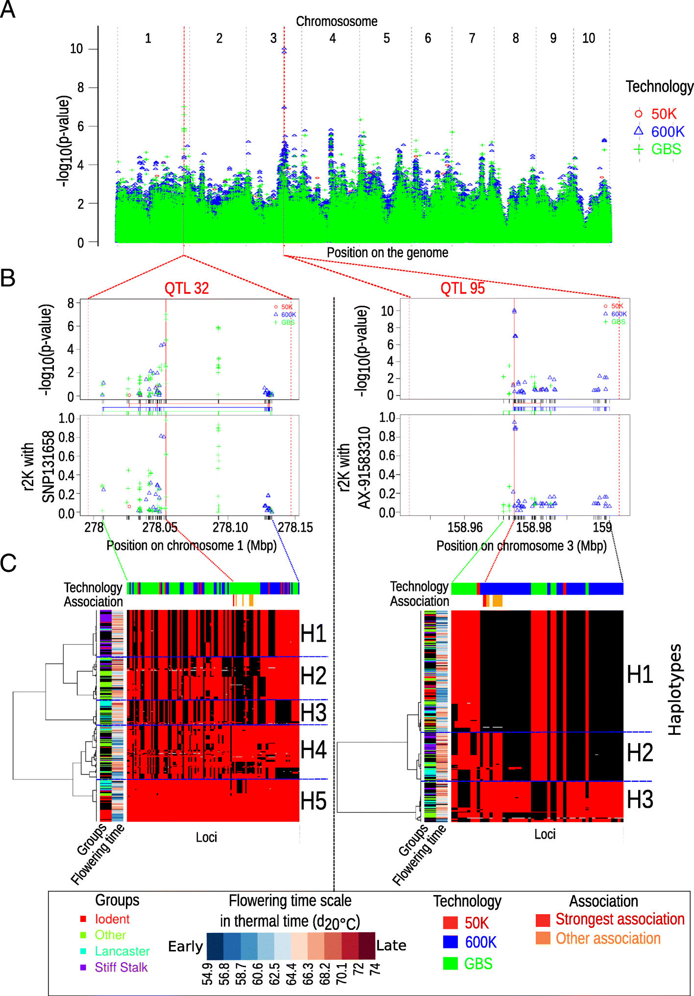 Fig. 5