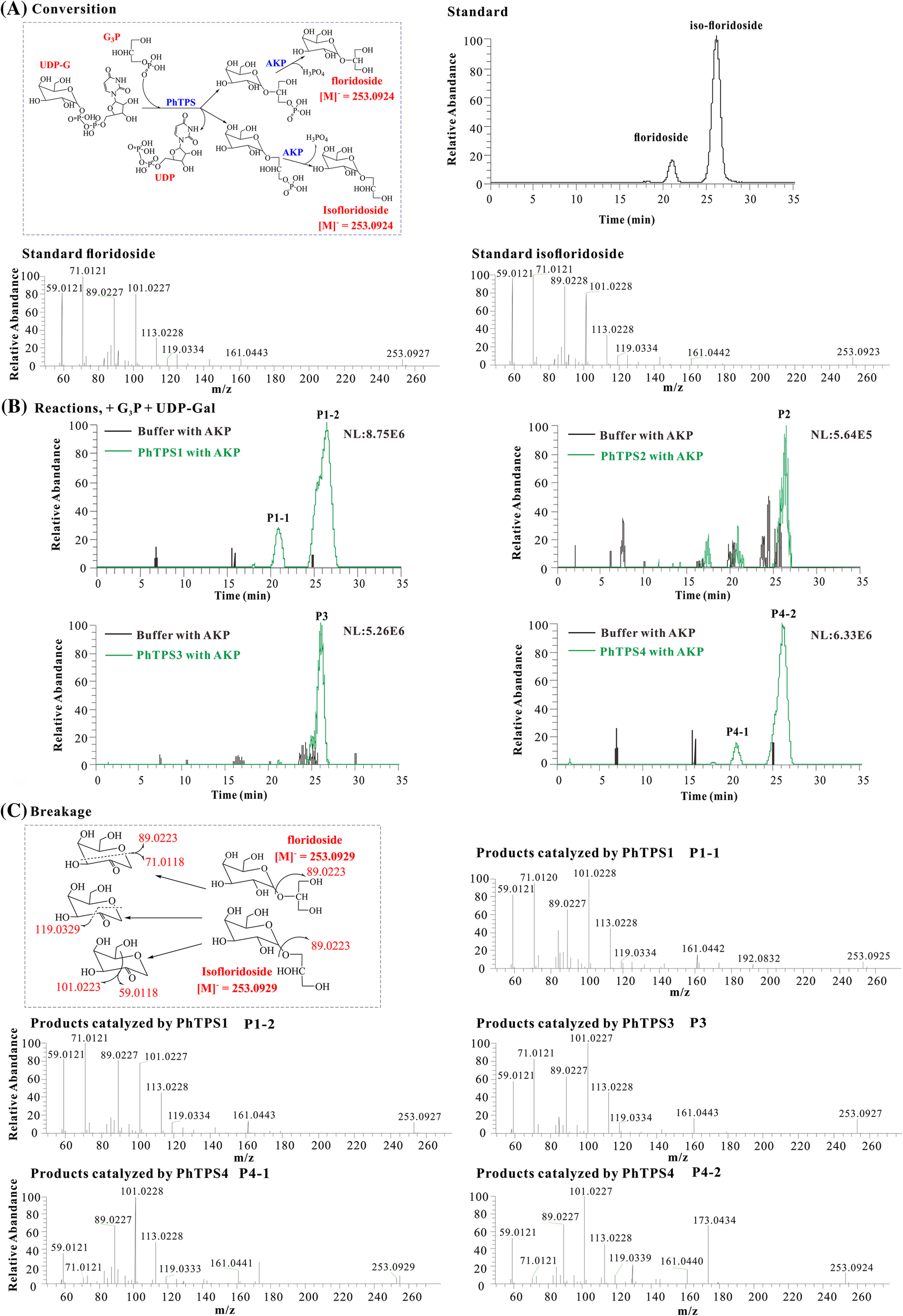 Fig. 4