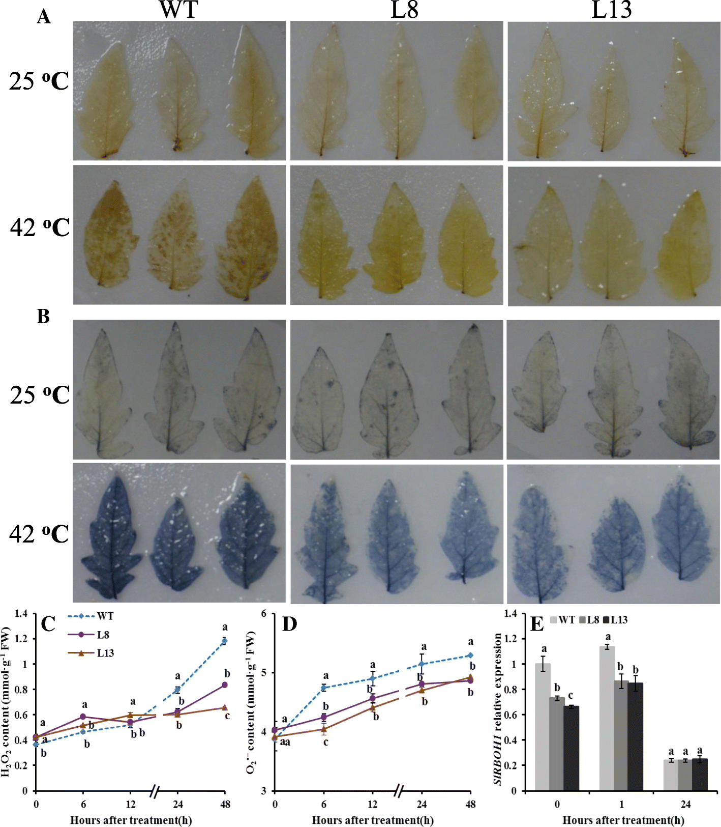 Fig. 4