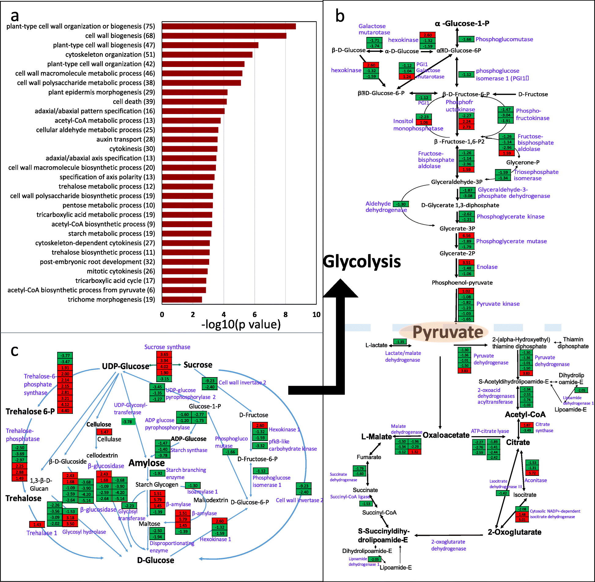 Fig. 4