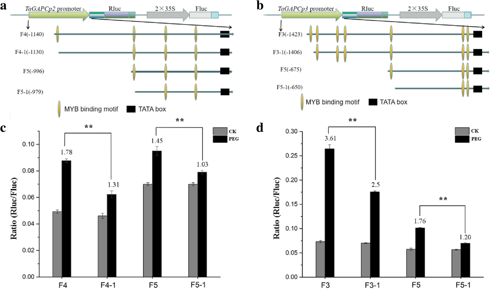 Fig. 10