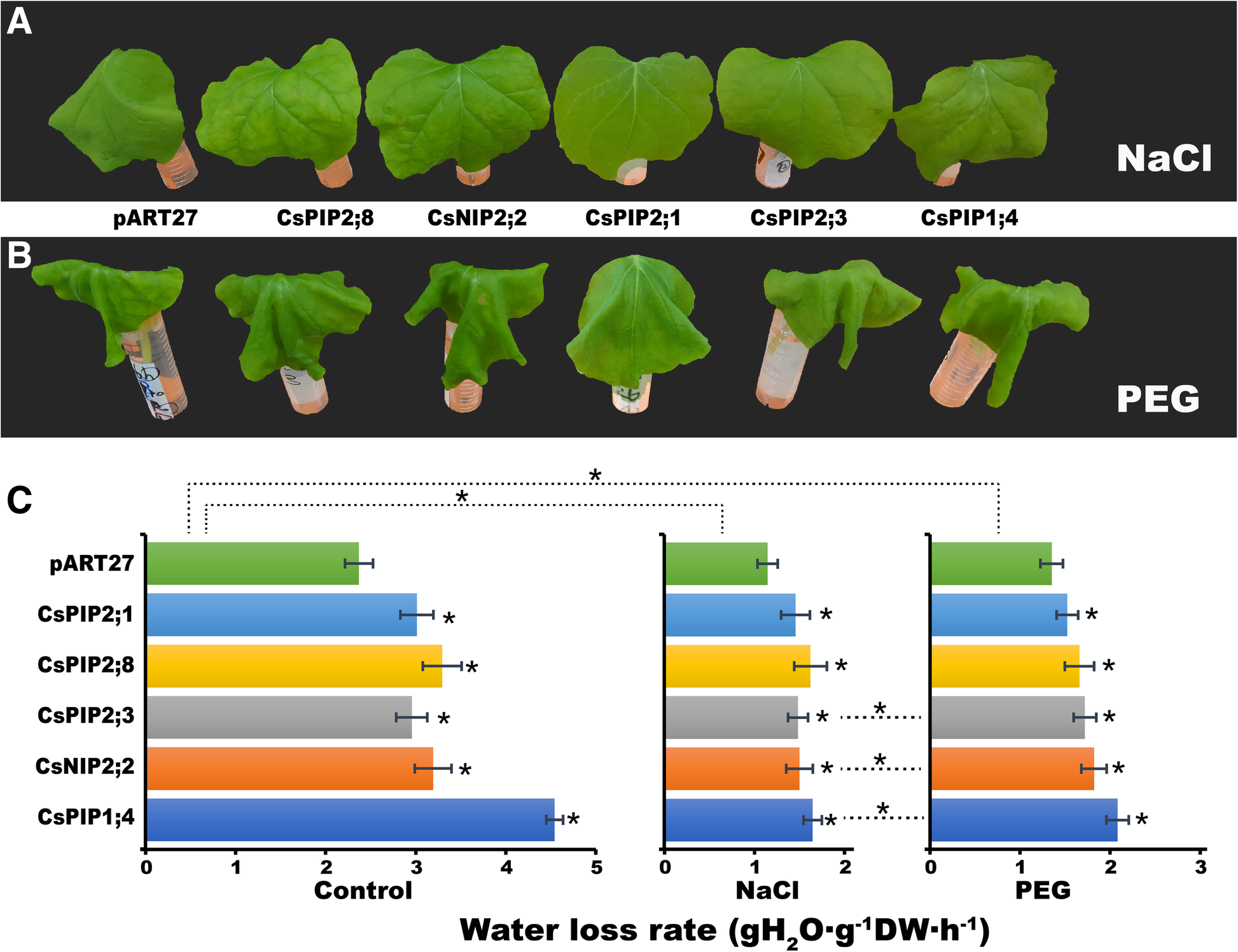 Fig. 11