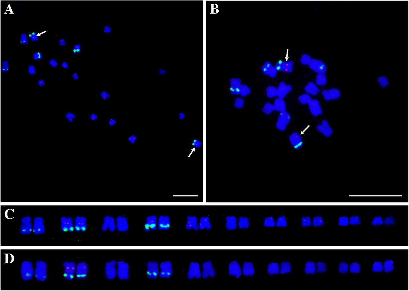 Fig. 8