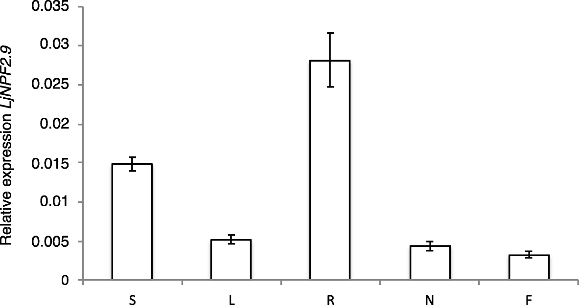 Fig. 1