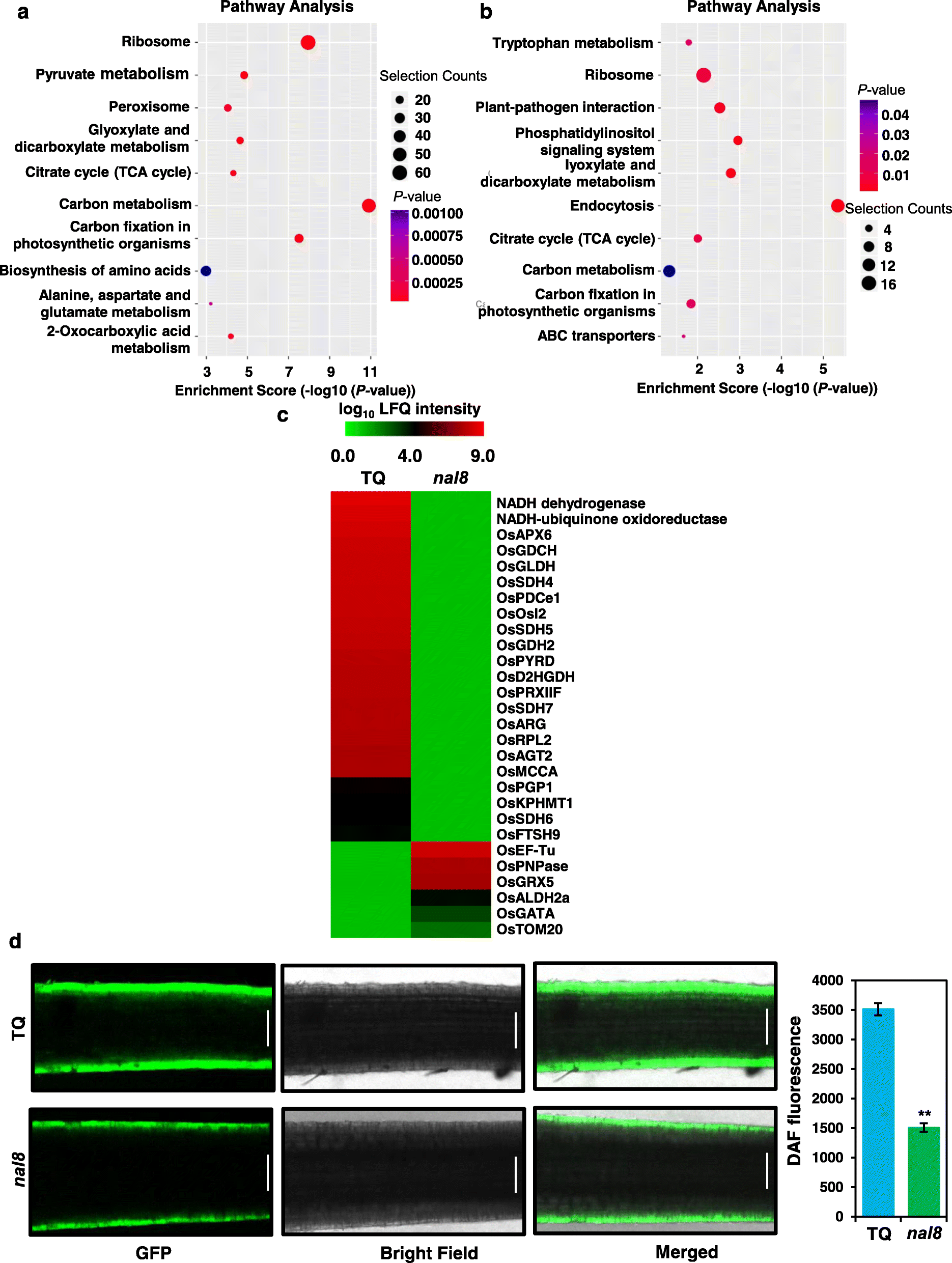 Fig. 6