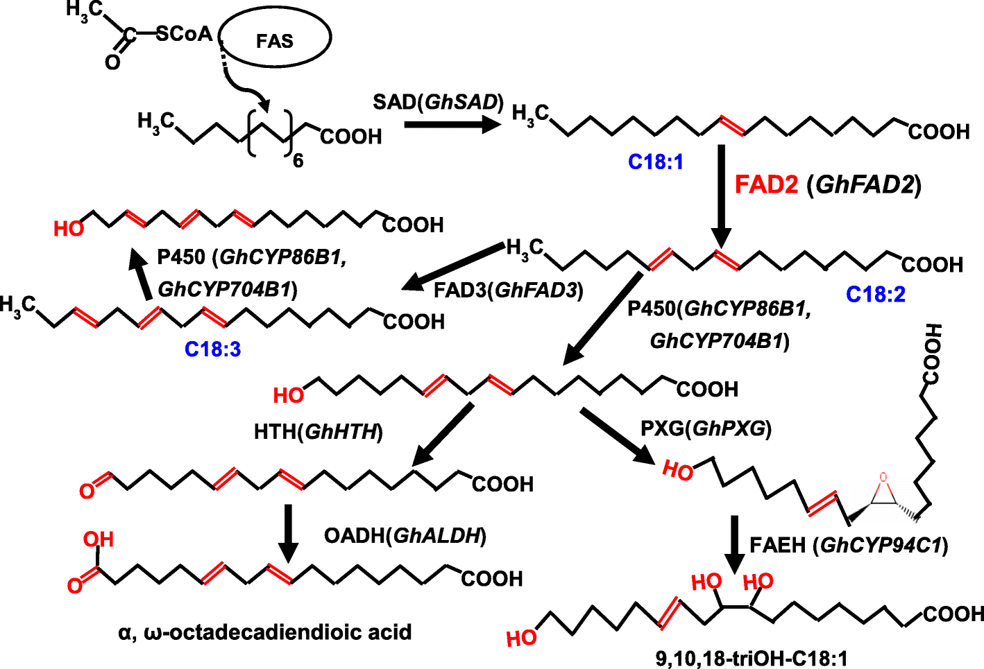 Fig. 8