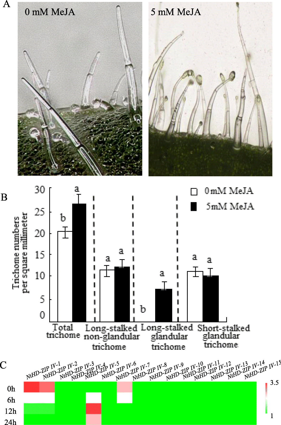 Fig. 5