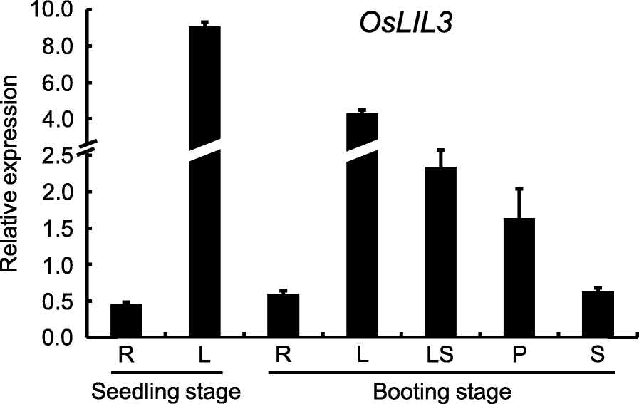 Fig. 10