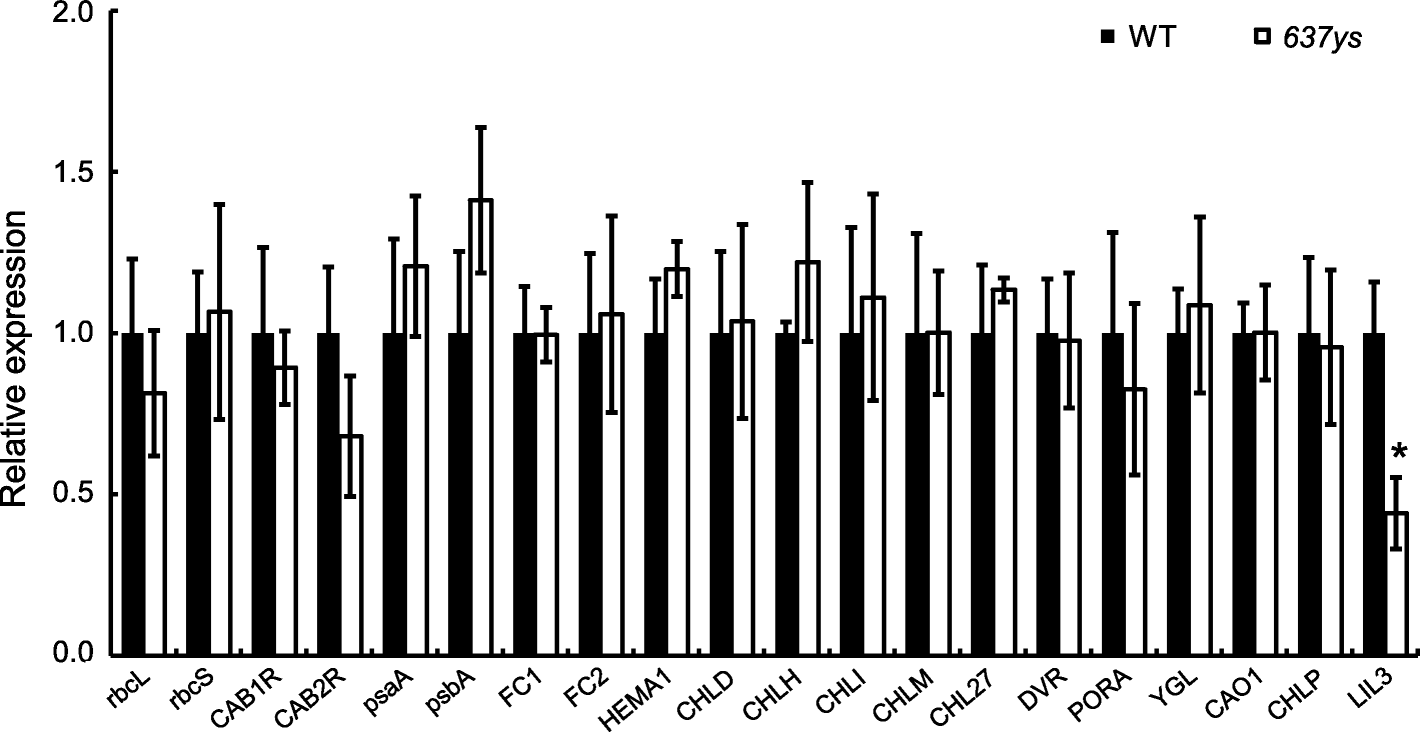 Fig. 11