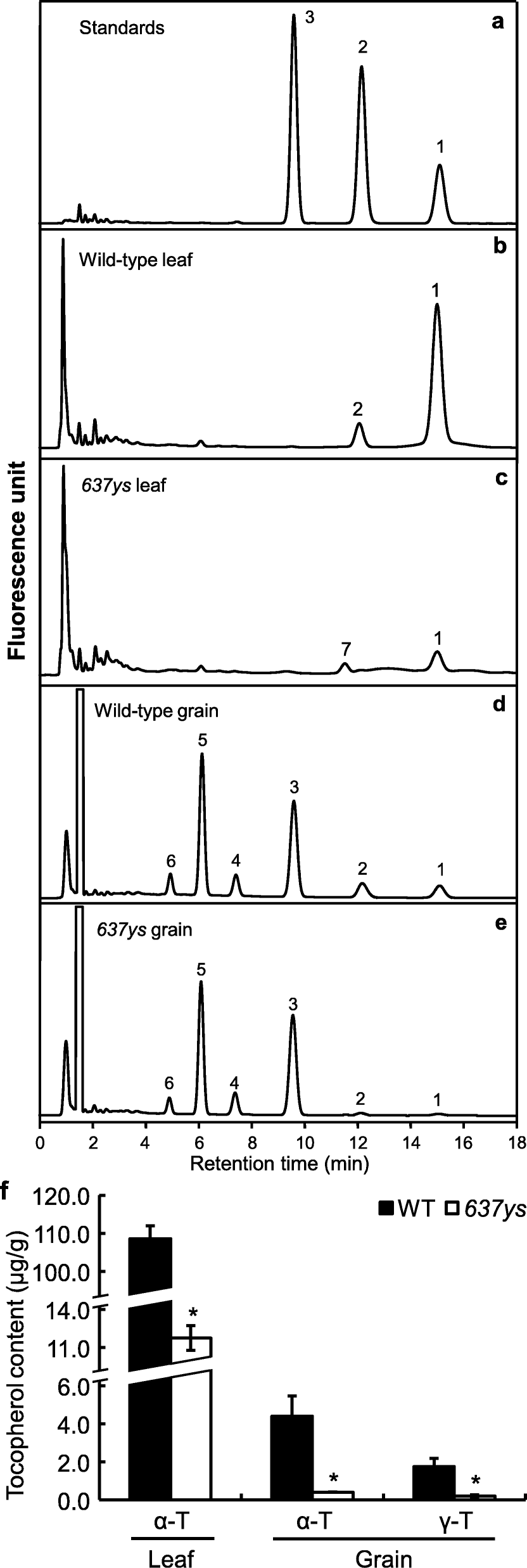 Fig. 5