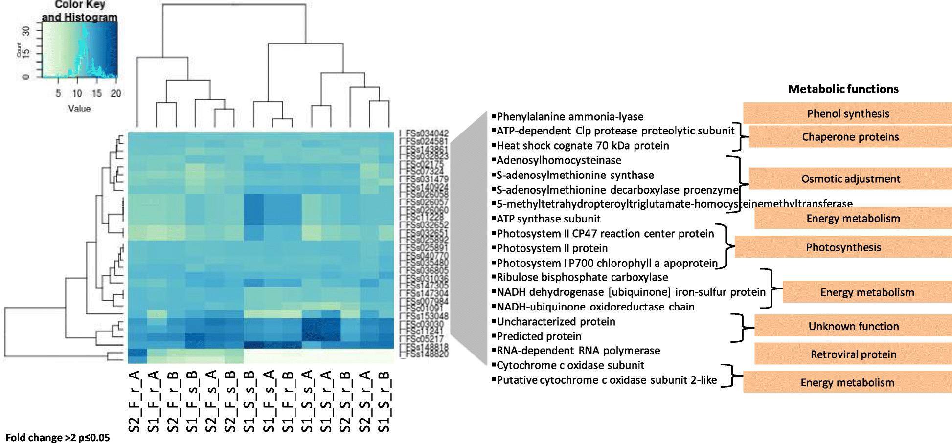 Fig. 5