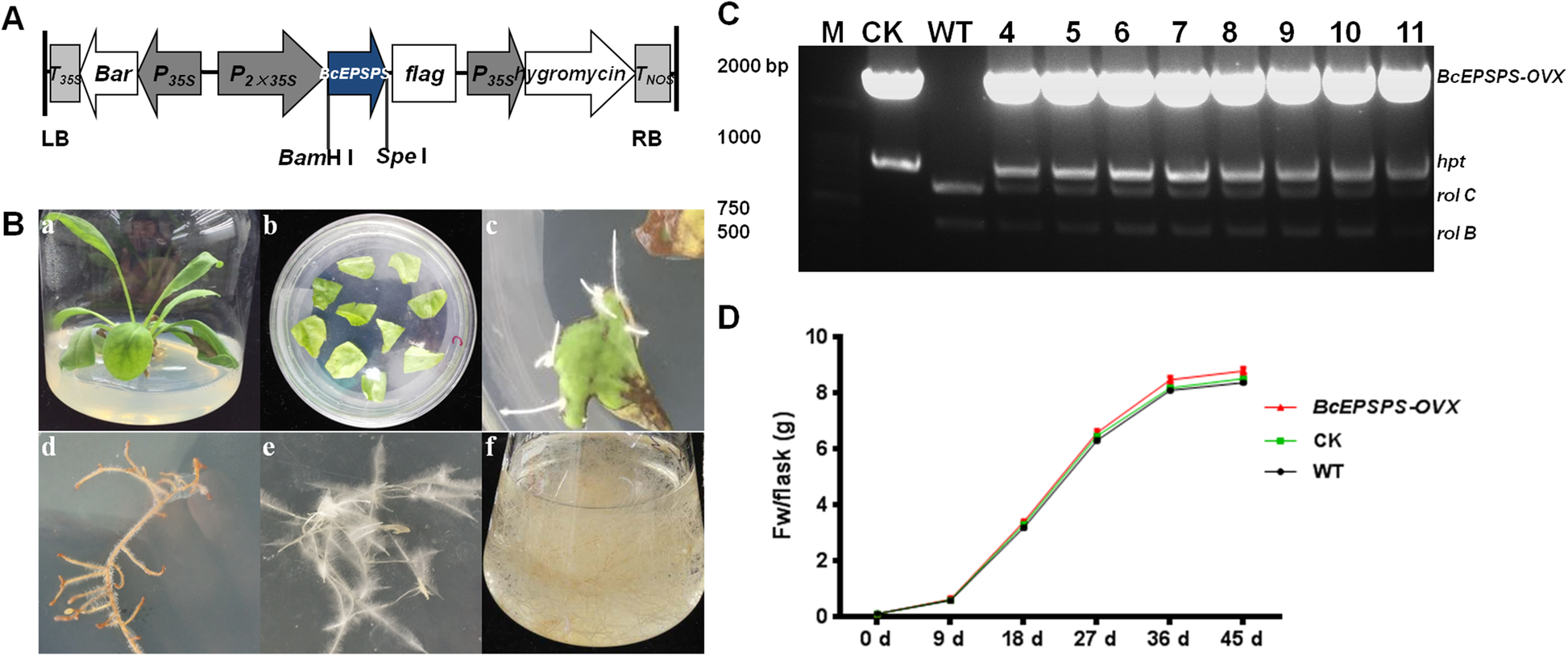 Fig. 6