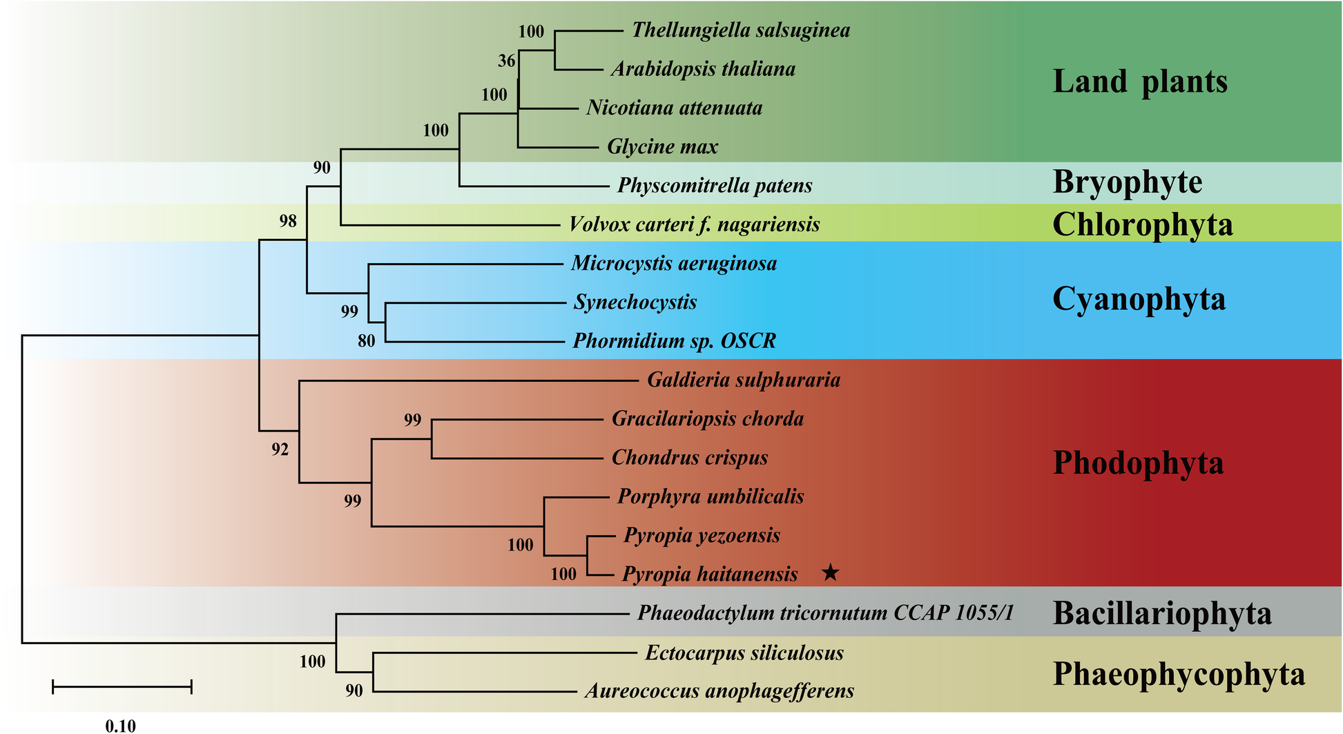 Fig. 7