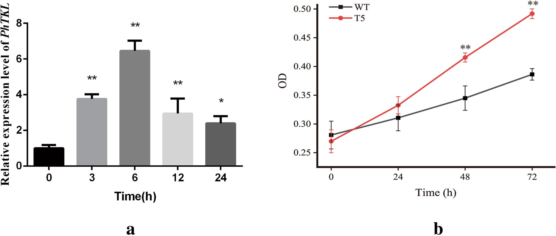 Fig. 8