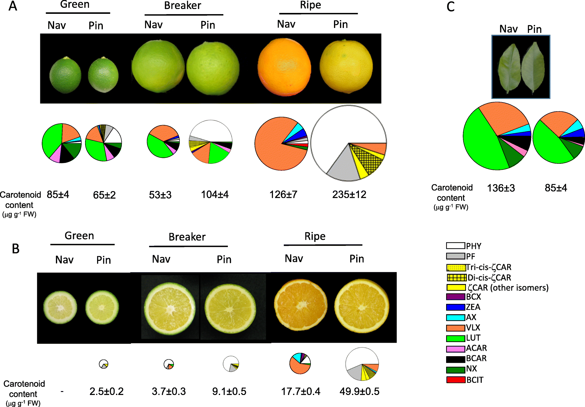 Fig. 2