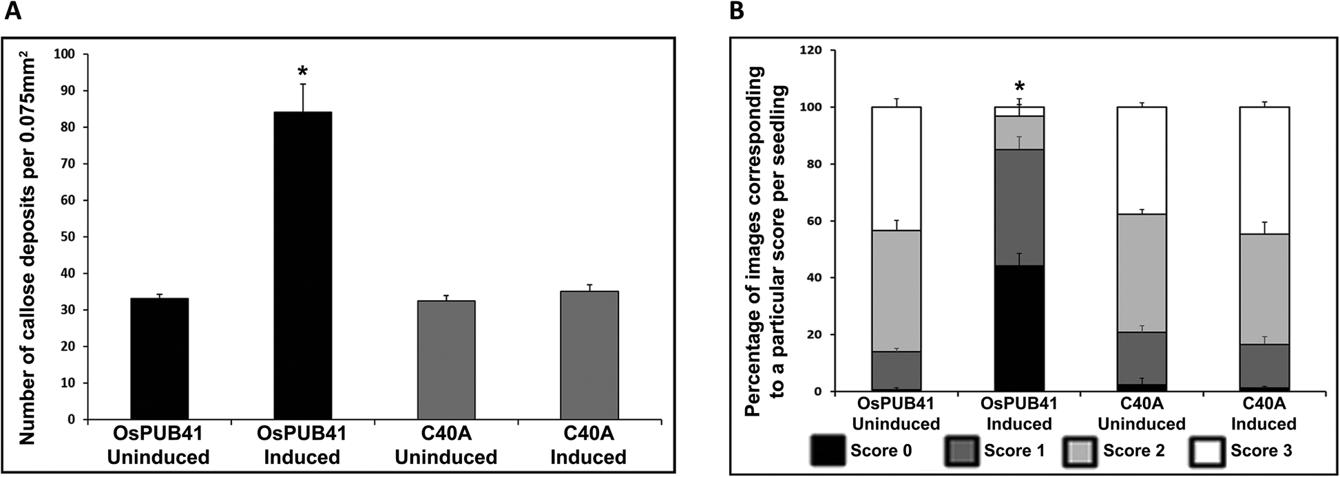 Overexpression Of Ospub41 A Rice E3 Ubiquitin Ligase Induced By Cell Wall Degrading Enzymes Enhances Immune Responses In Rice And Arabidopsis Bmc Plant Biology Full Text