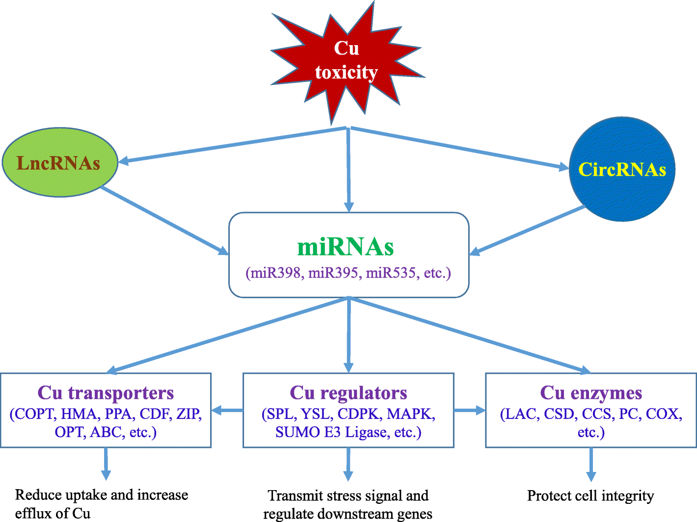 Fig. 10