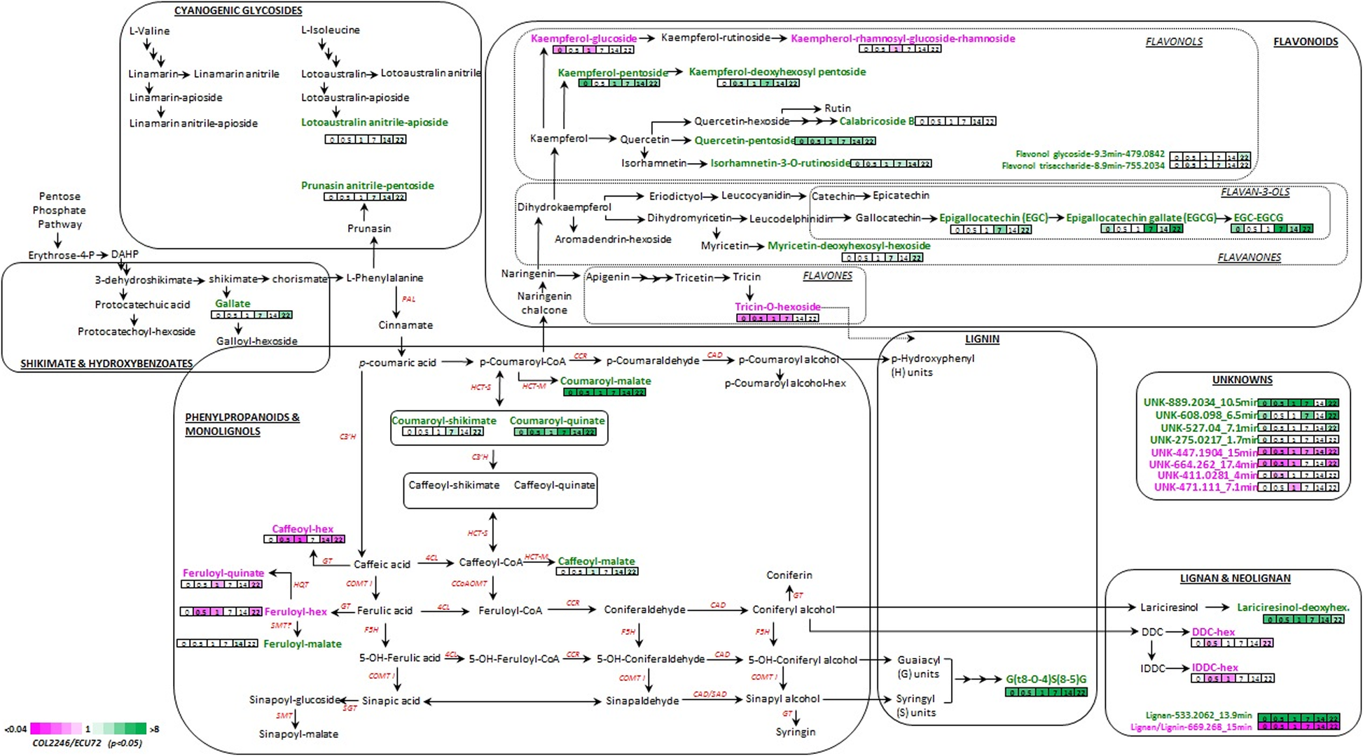 Fig. 3