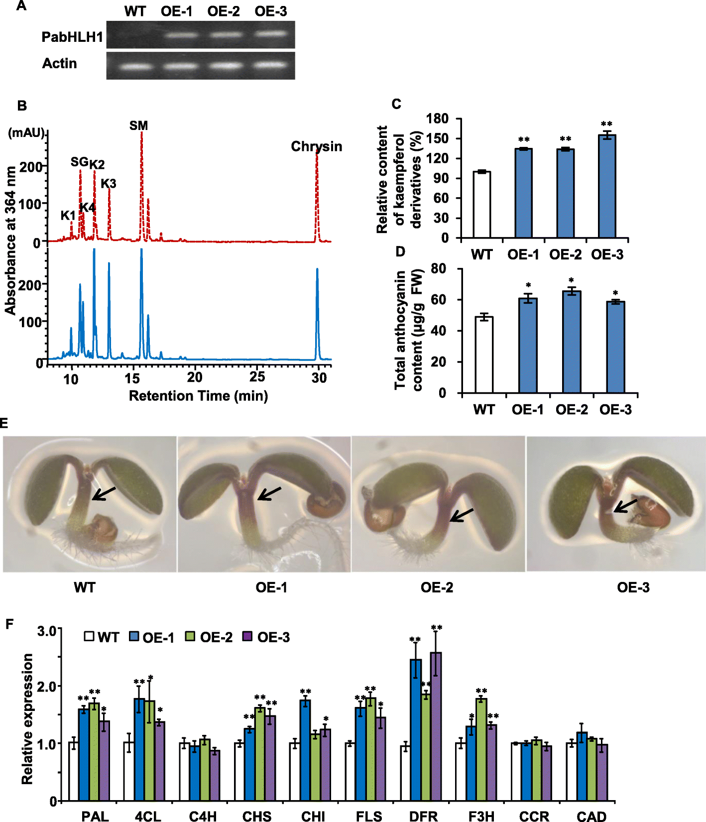 Fig. 8