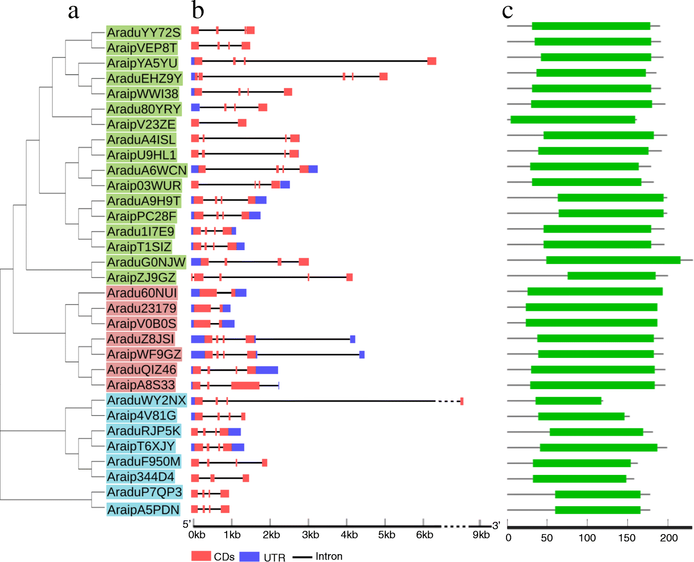 Fig. 3