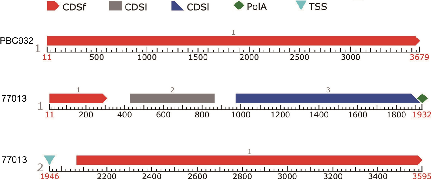 Fig. 4