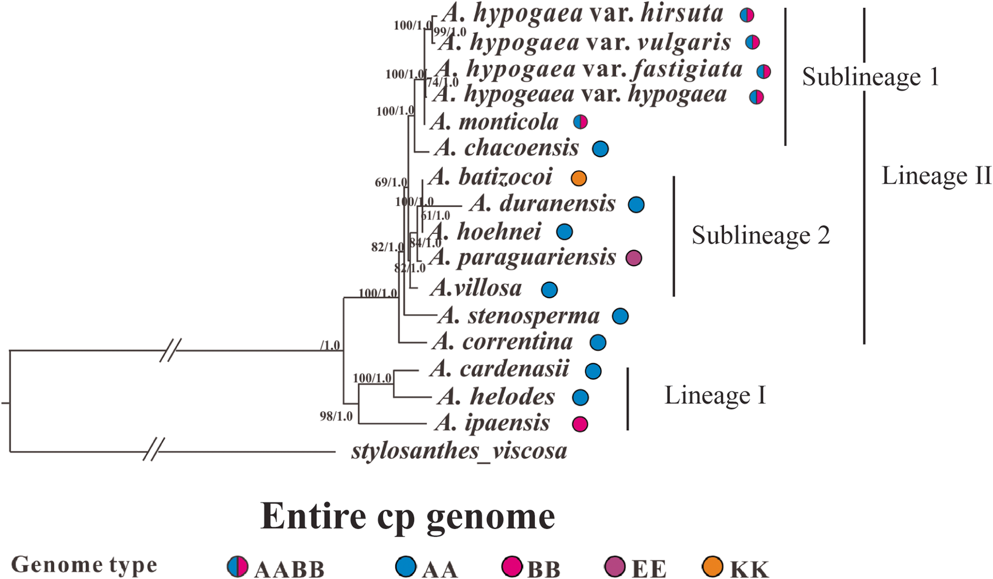 Fig. 4