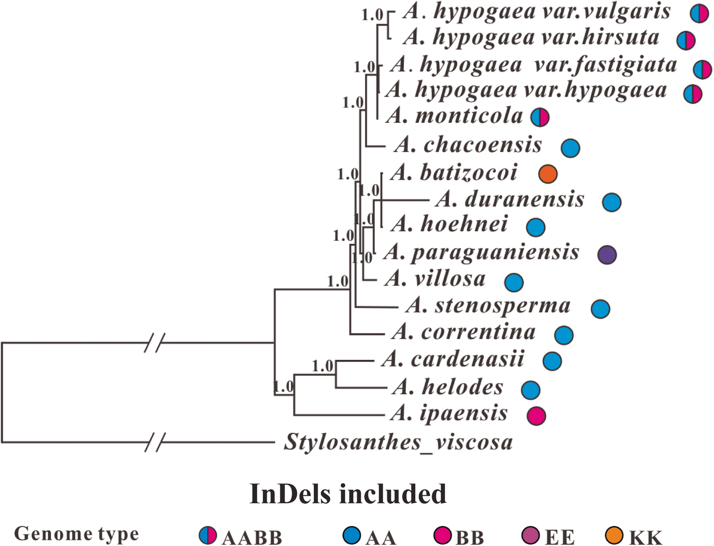 Fig. 7