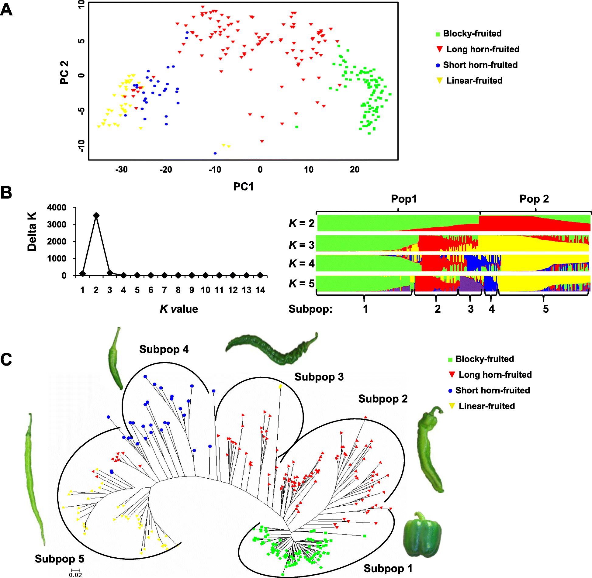 Fig. 4