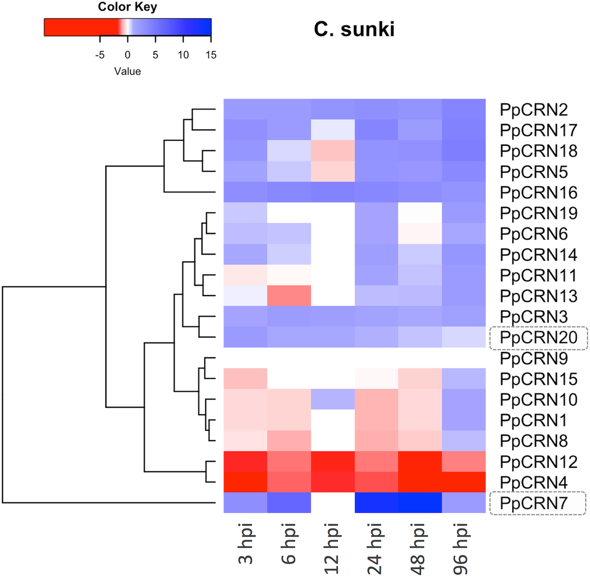 Fig. 6