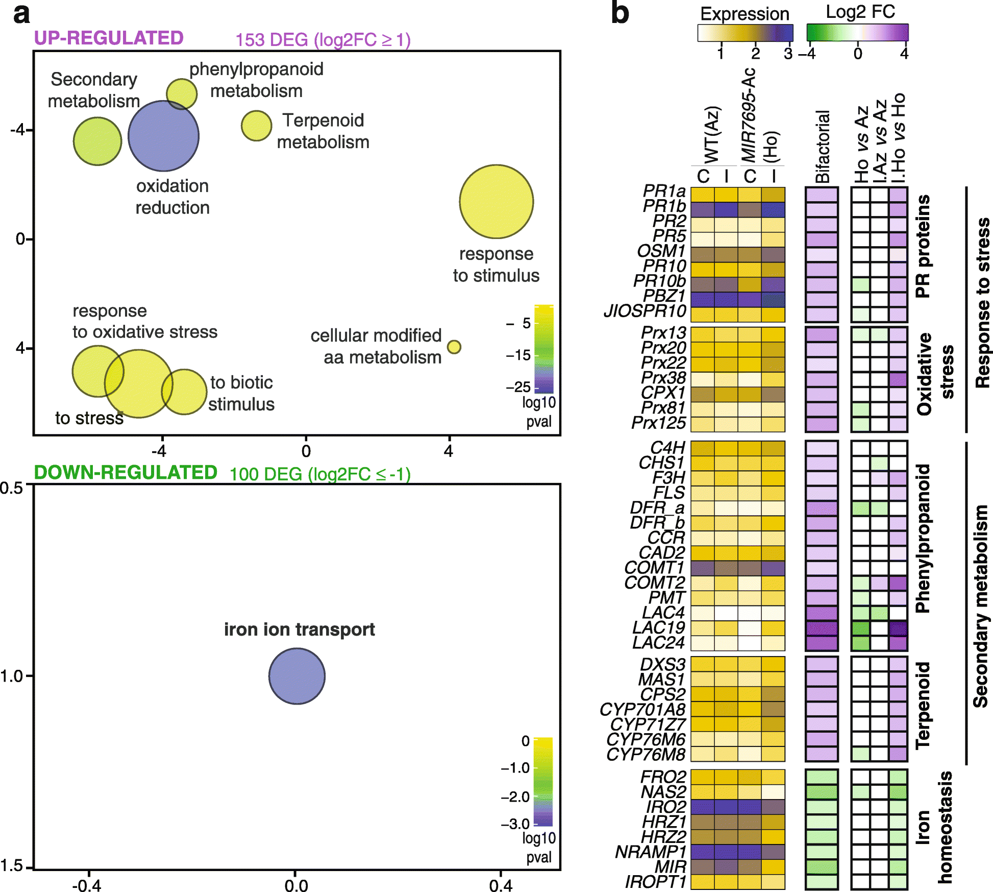 Fig. 6