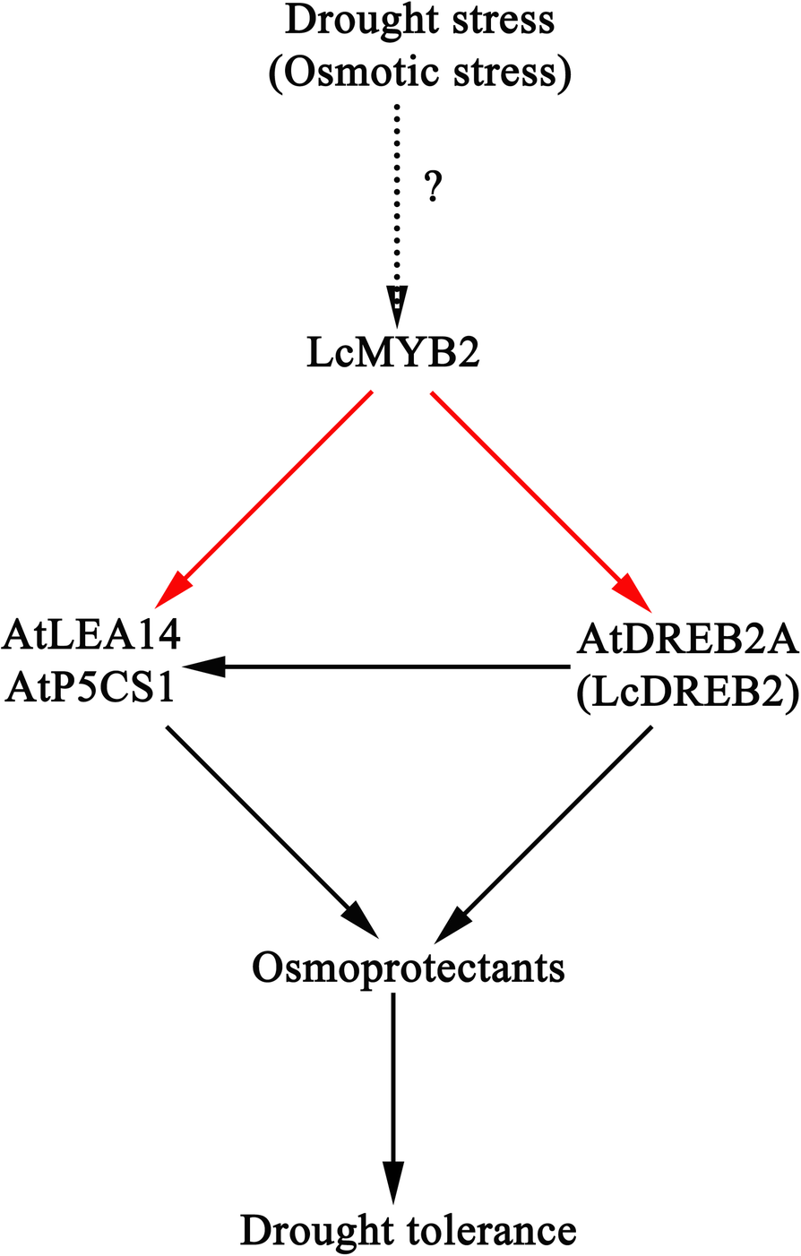 Fig. 9