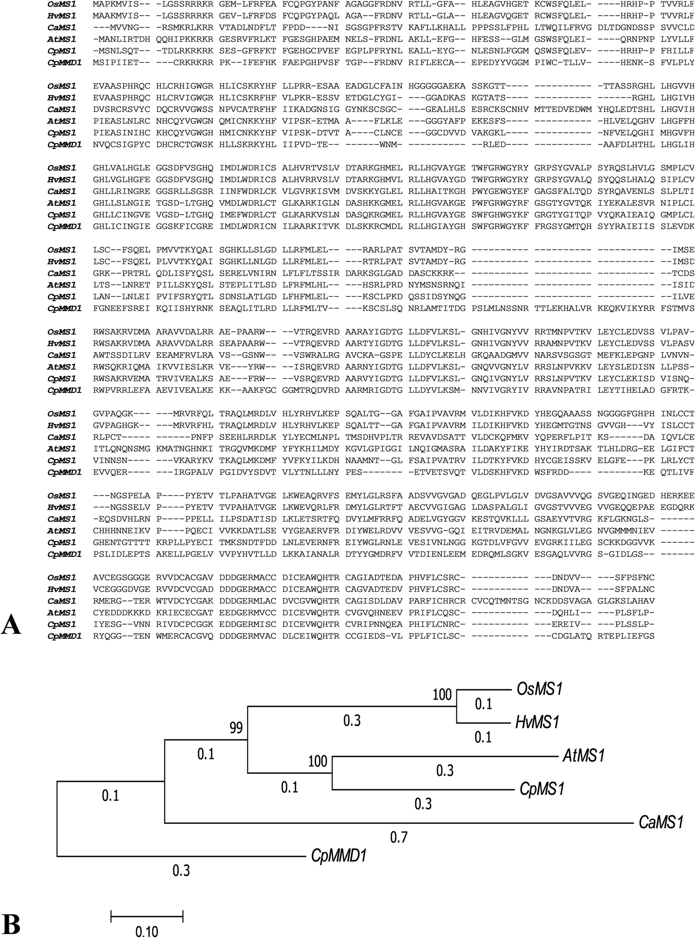 Fig. 6