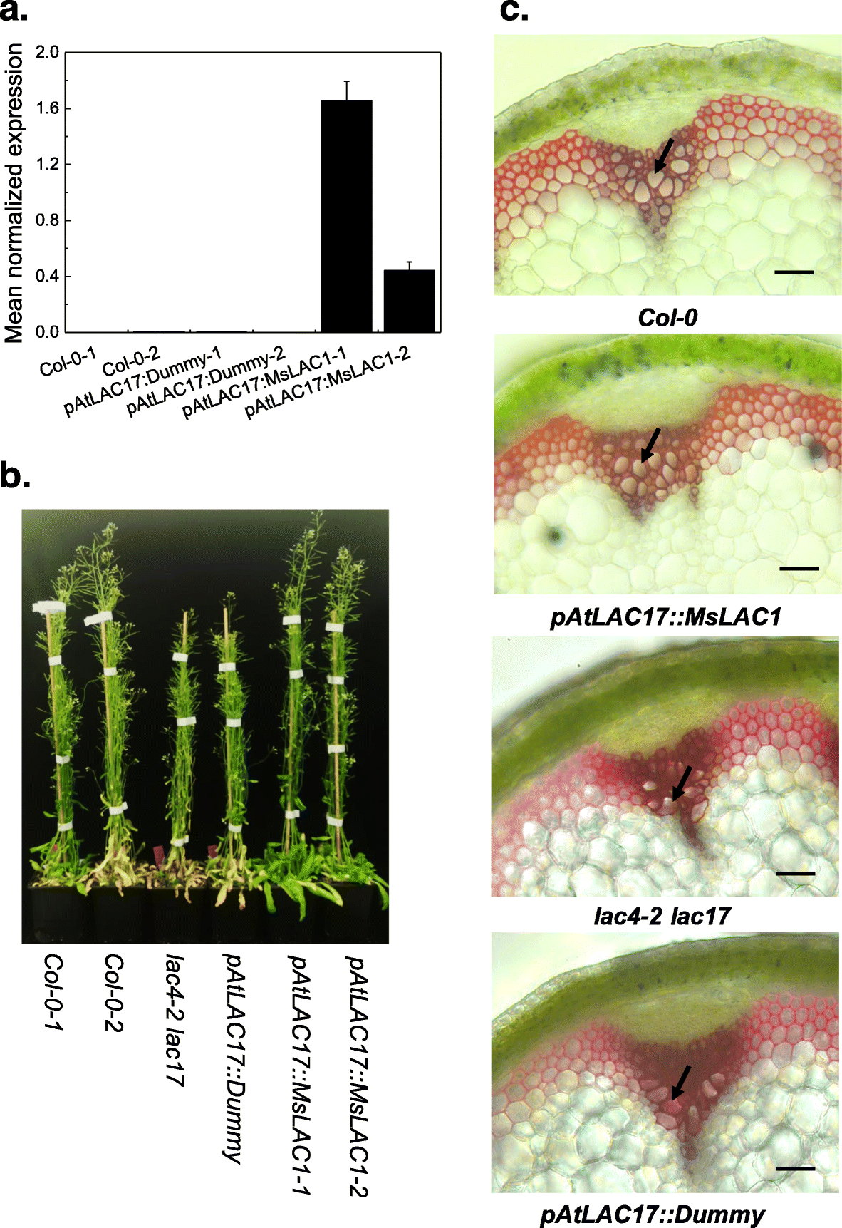 Fig. 7