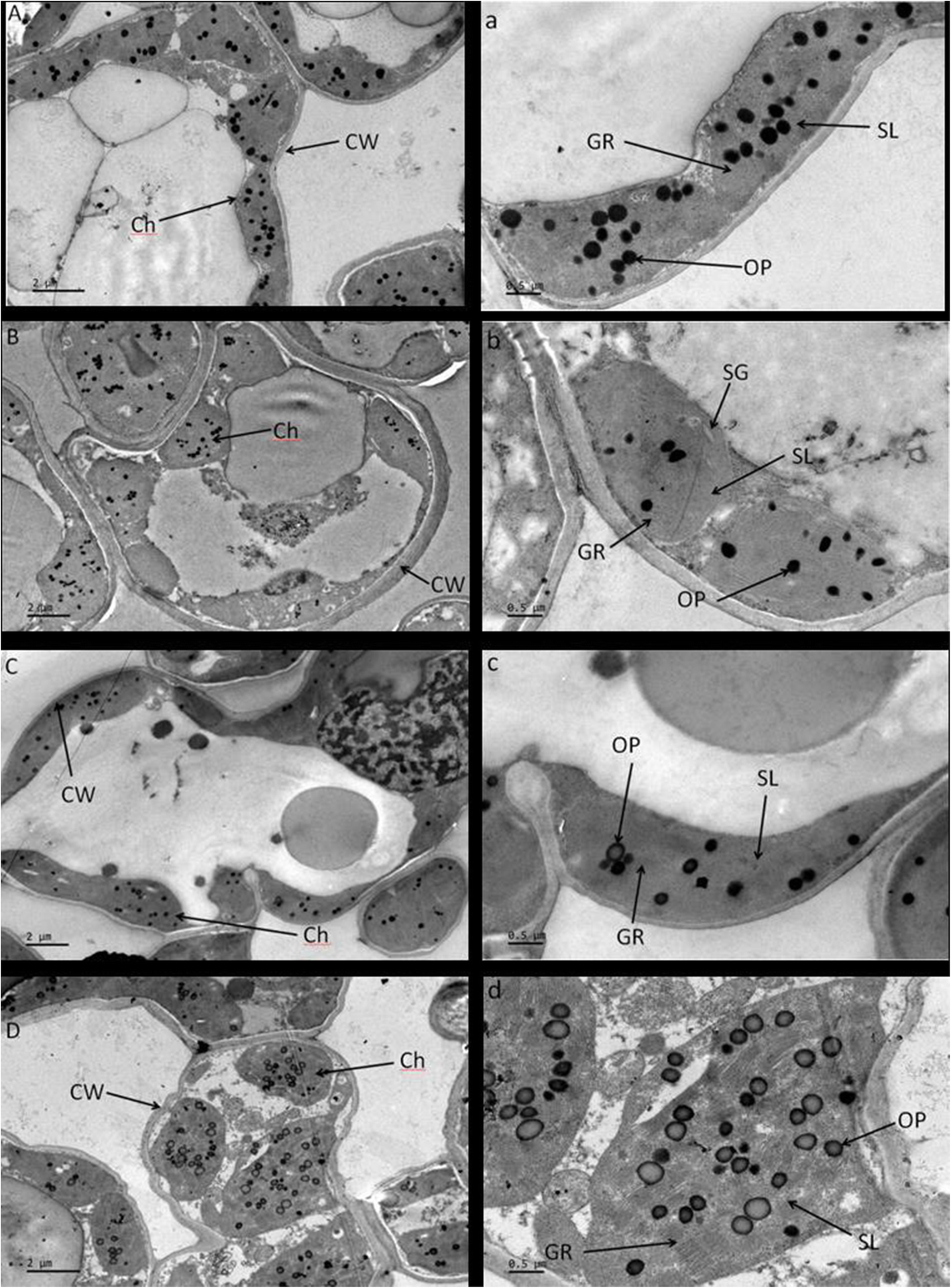 Fig. 5