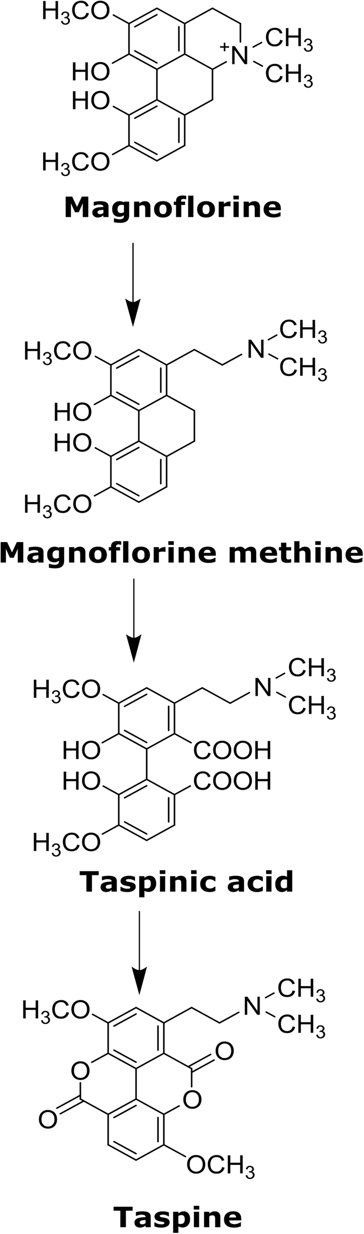 Fig. 7