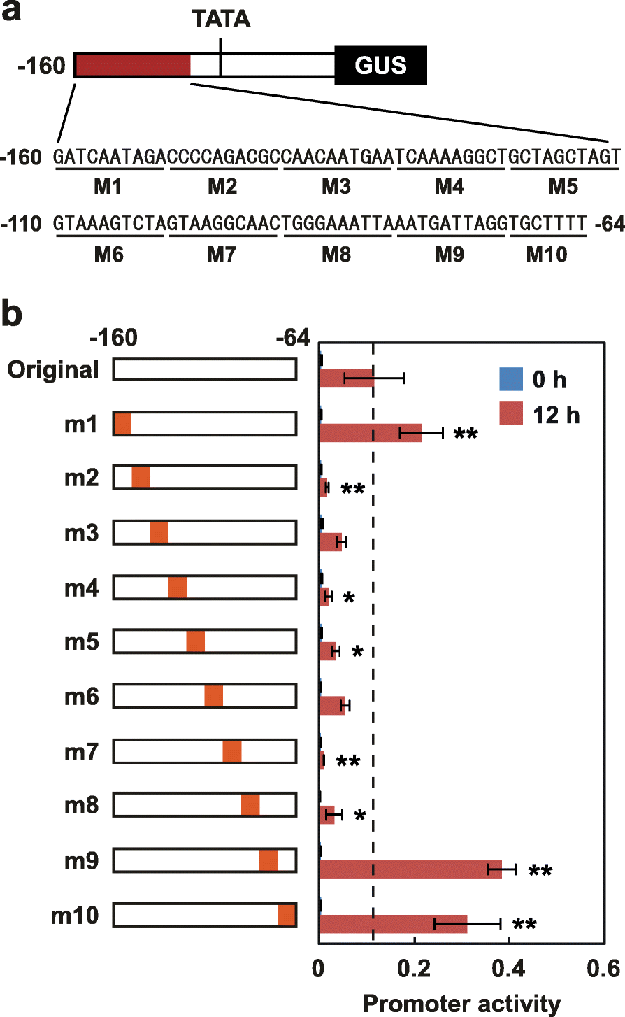 Fig. 5