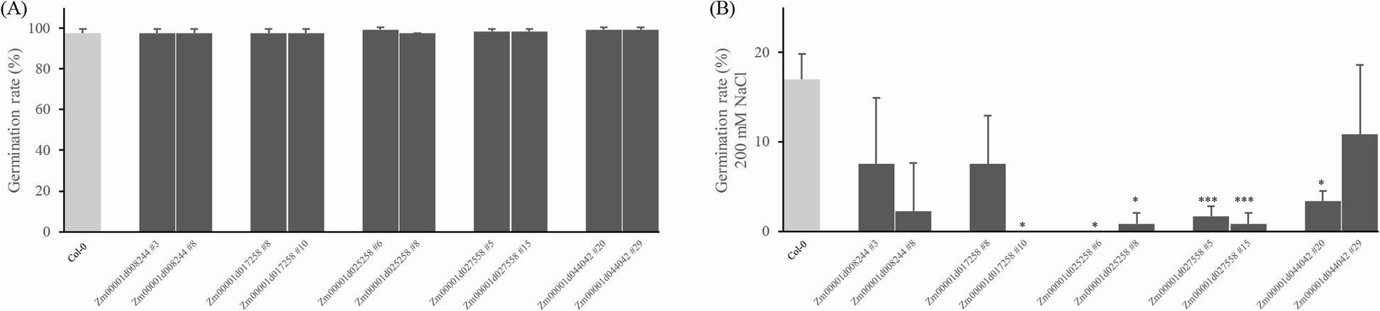 Fig. 10